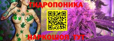 ГАЛЛЮЦИНОГЕННЫЕ ГРИБЫ Апшеронск