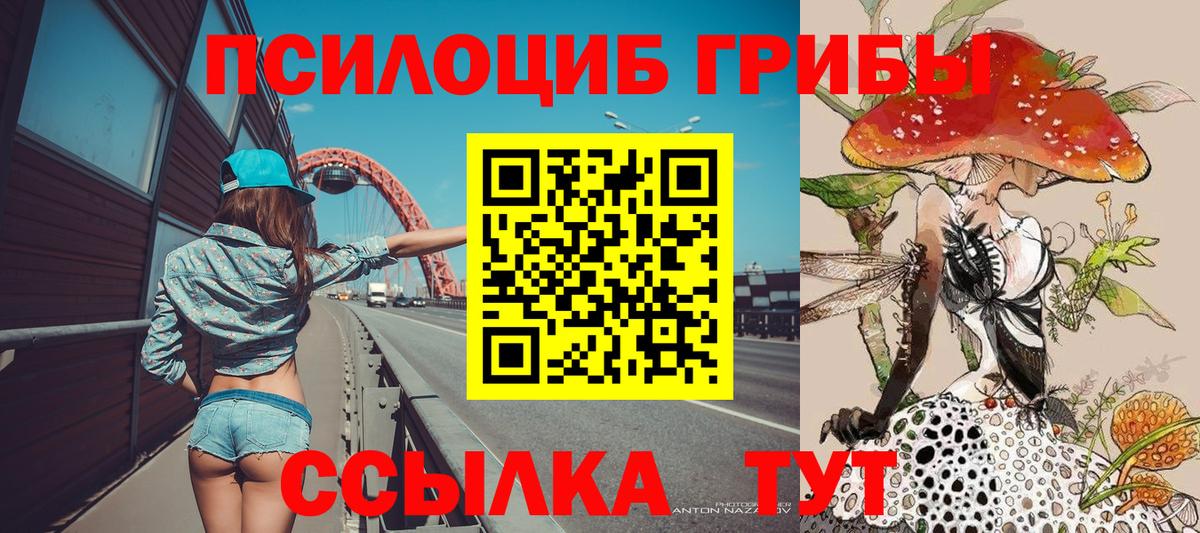 Псилоцибиновые грибы прущие грибы  как найти закладки  Вход с VPN  Вольск  Псилоцибиновые грибы мухоморы 